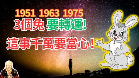 1975生肖運勢|1975年兔一生的運氣 出生五行命理分析